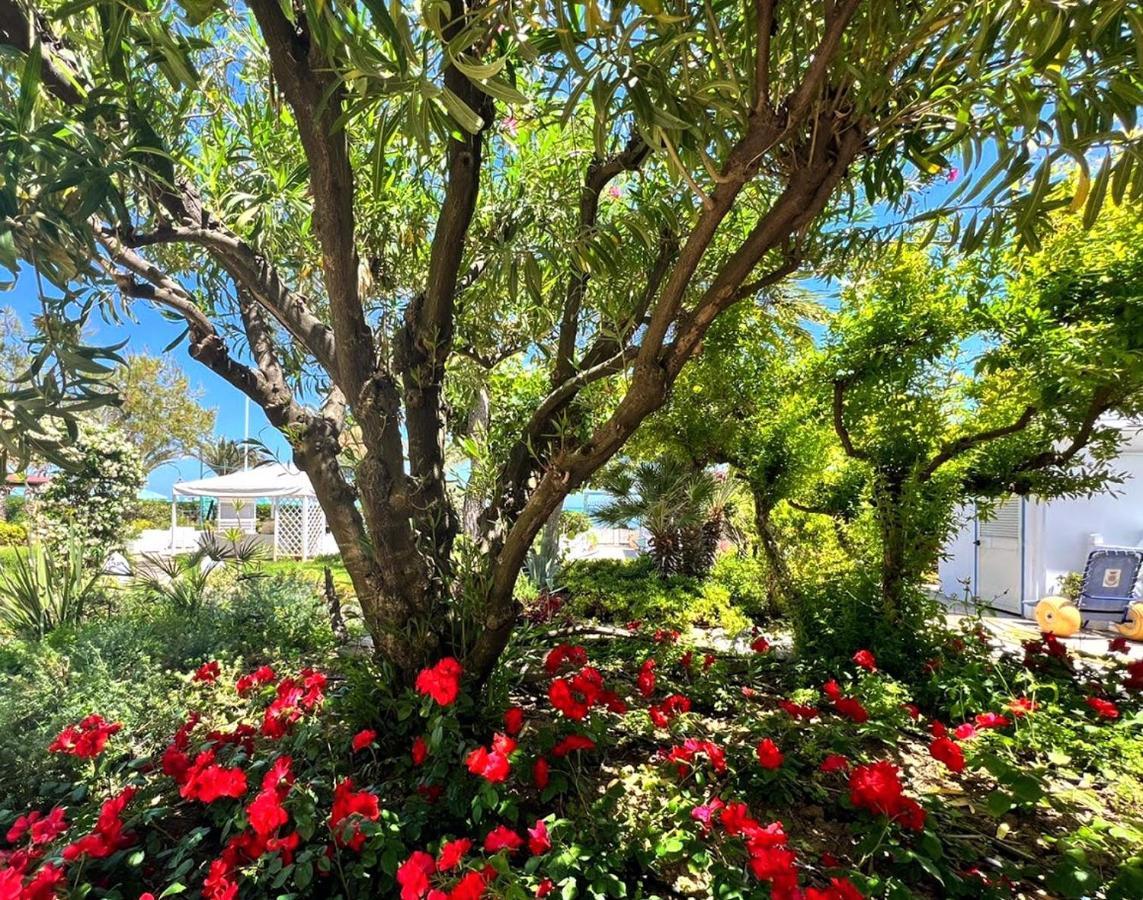 Hotel Parco Delle Rose Сильви-Марина Экстерьер фото